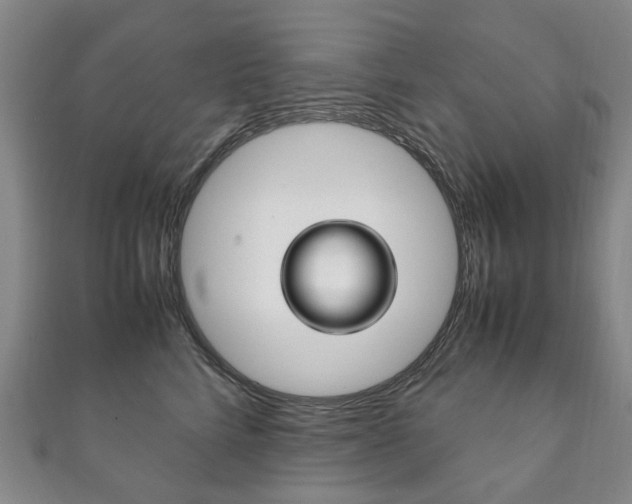 X0000111210712200907011051