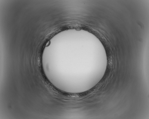 X0000111210715200907011051