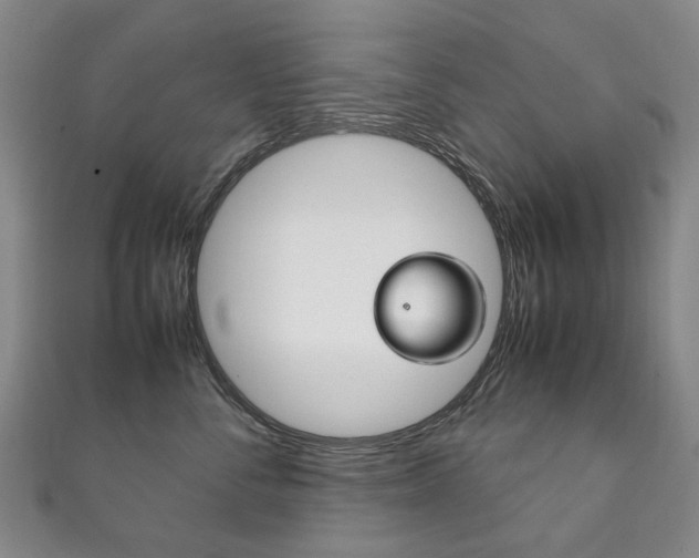 X0000111210716200907011051