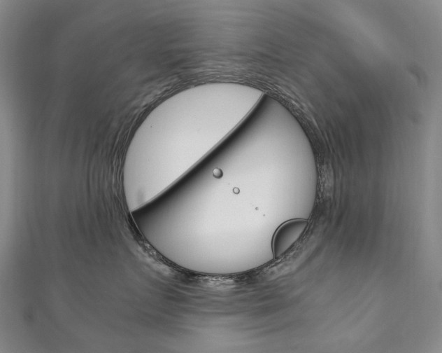 X0000111210719200907011051