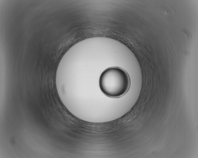 X0000111210720200907011051