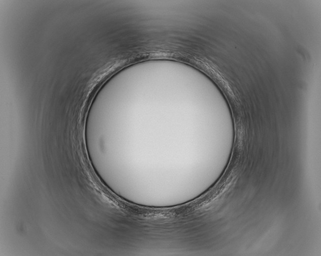 X0000111210721200907011050