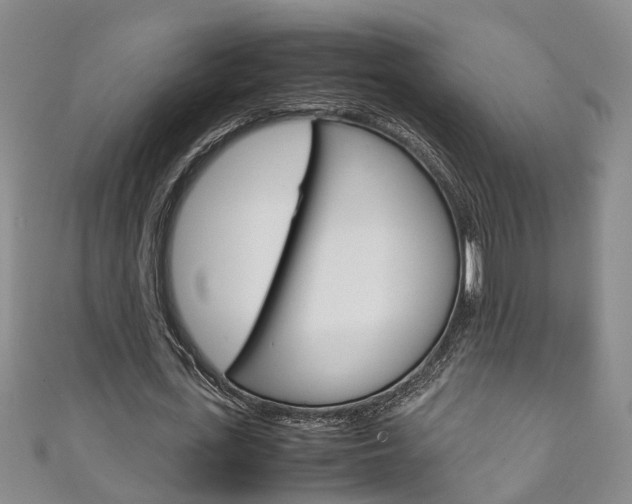 X0000111210723200907011050