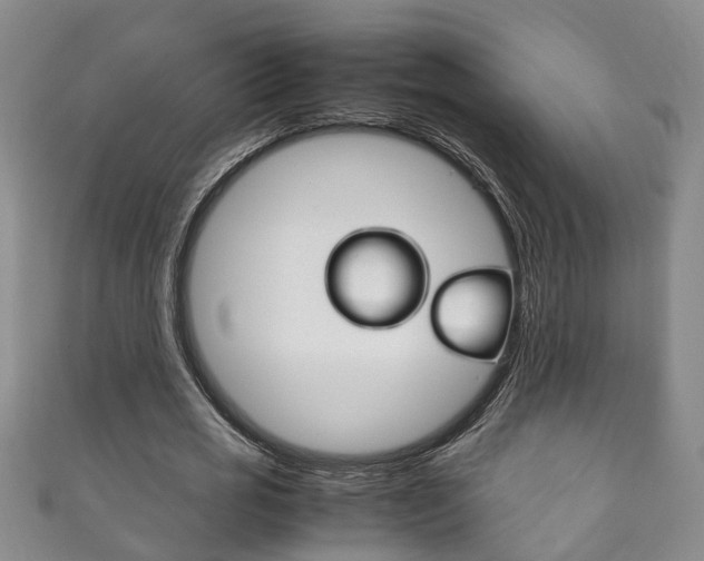 X0000111210725200907011050