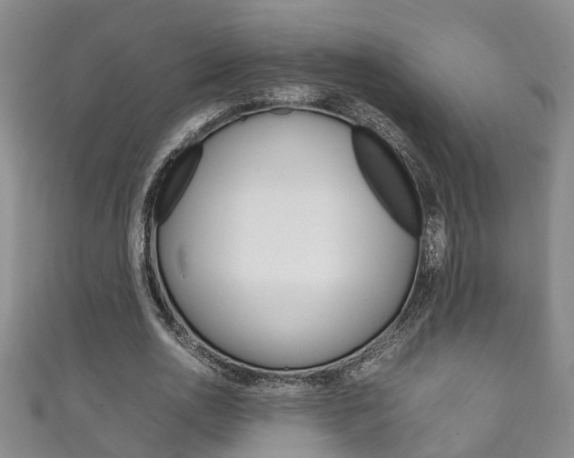 X0000111210726200907011050
