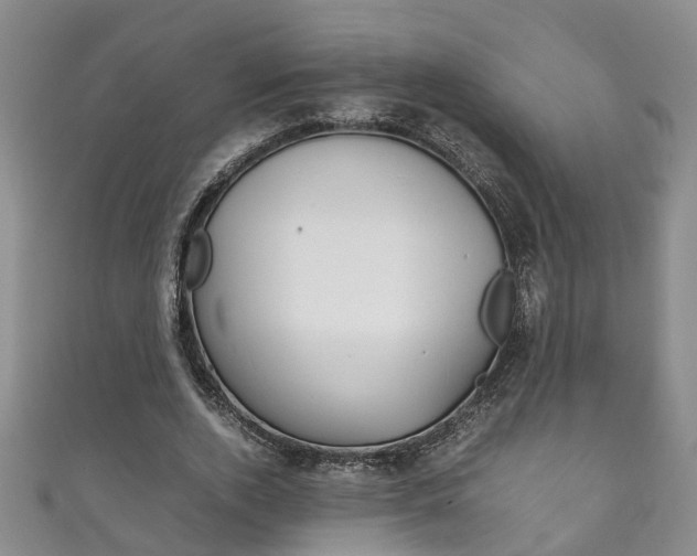 X0000111210728200907011050