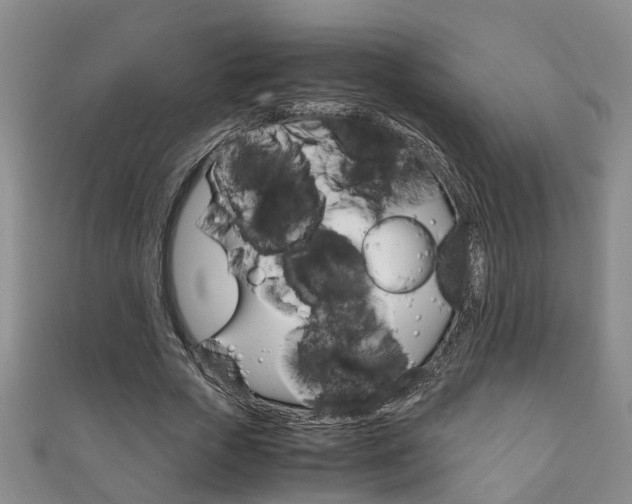 X0000111210729200907011050