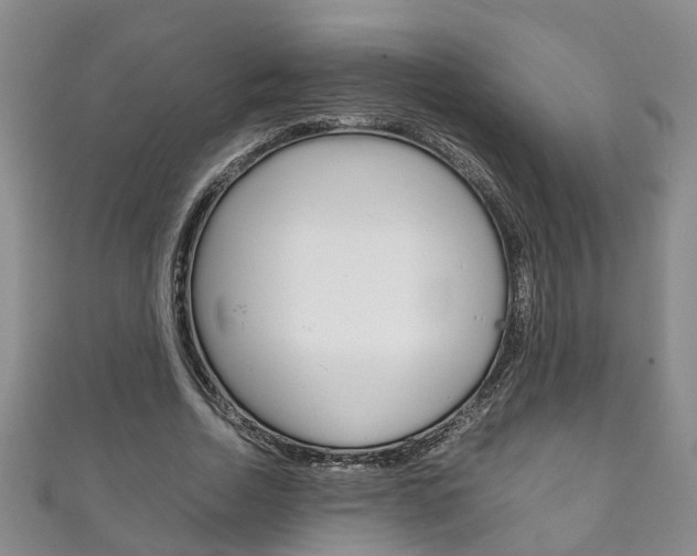 X0000111210730200907011050