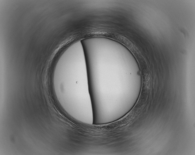 X0000111210731200907011050