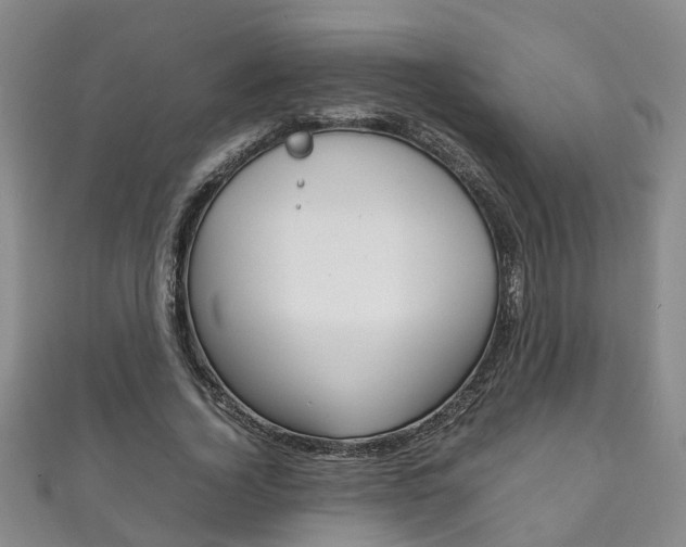 X0000111210732200907011050