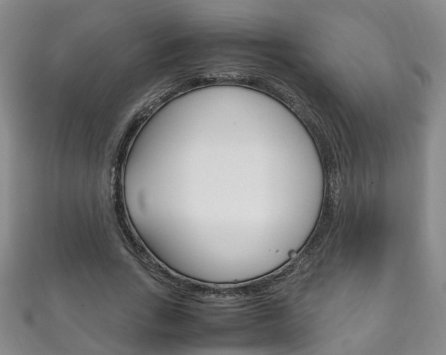 X0000111210735200907011050