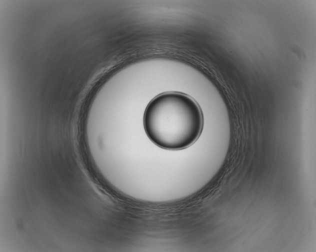 X0000111210736200907011050
