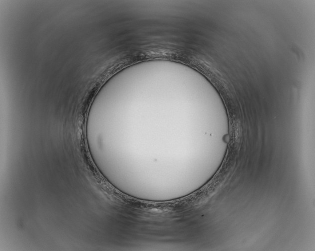 X0000111210737200907011050