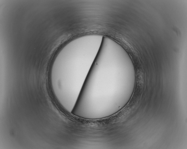 X0000111210738200907011050