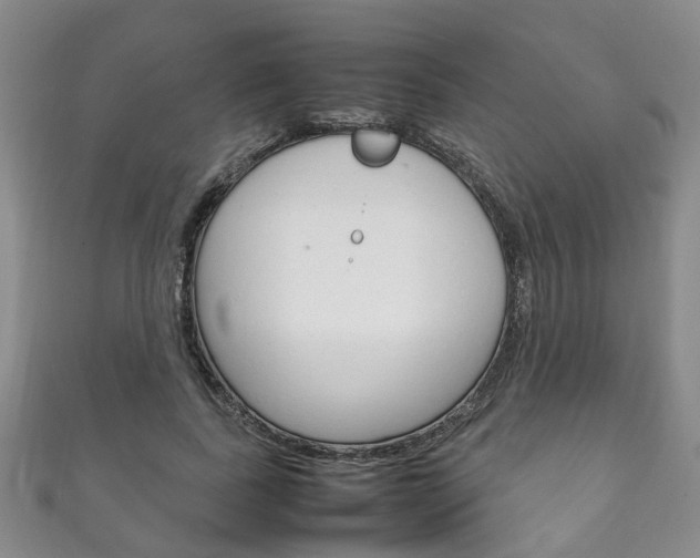X0000111210739200907011050