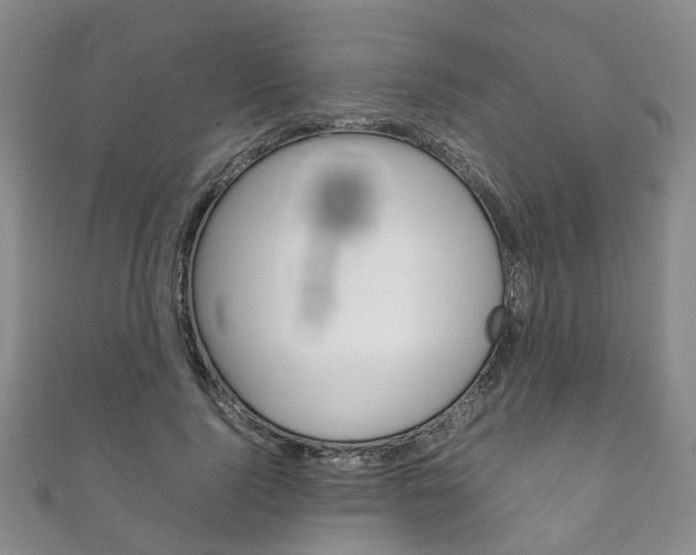 X0000111210740200907011050