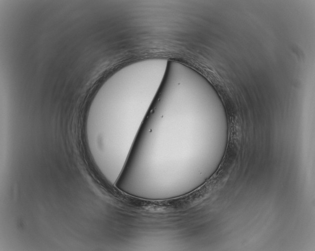X0000111210742200907011050
