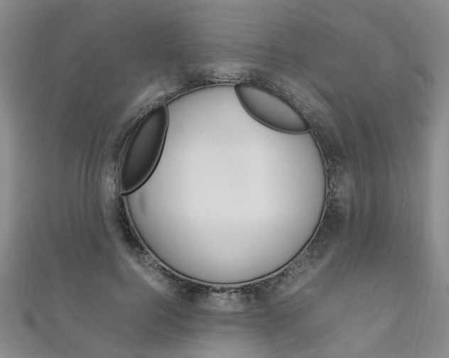X0000111210744200907011050