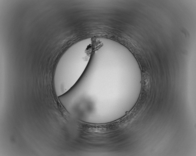 X0000111210745200907011050
