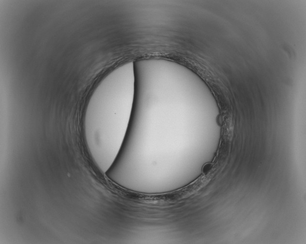 X0000111210746200907011050
