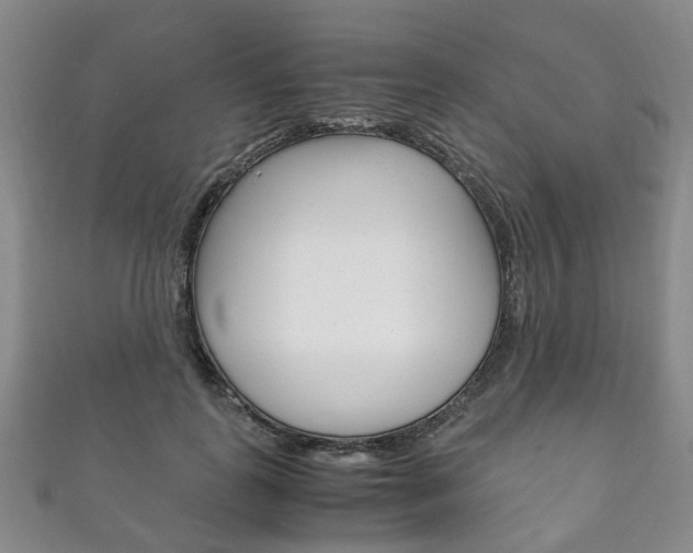 X0000111210747200907011050