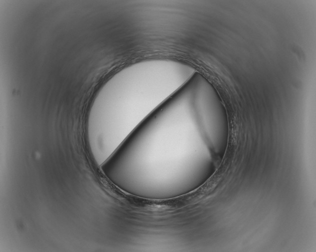 X0000111210748200907011050