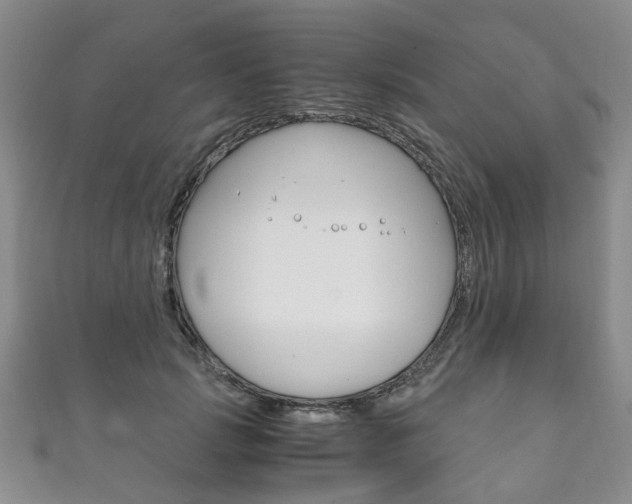 X0000111210749200907011050