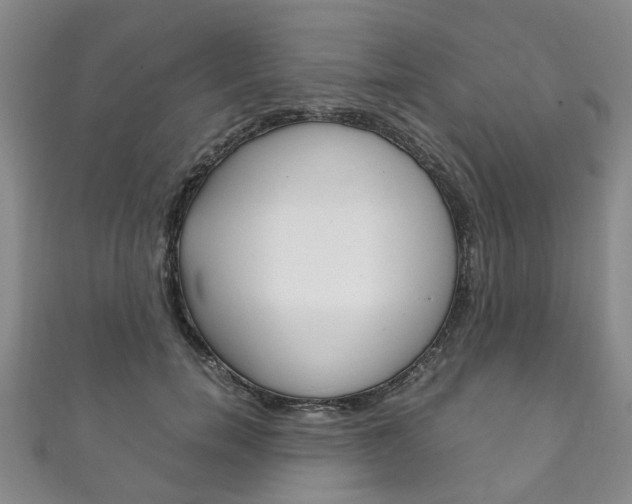 X0000111210750200907011050