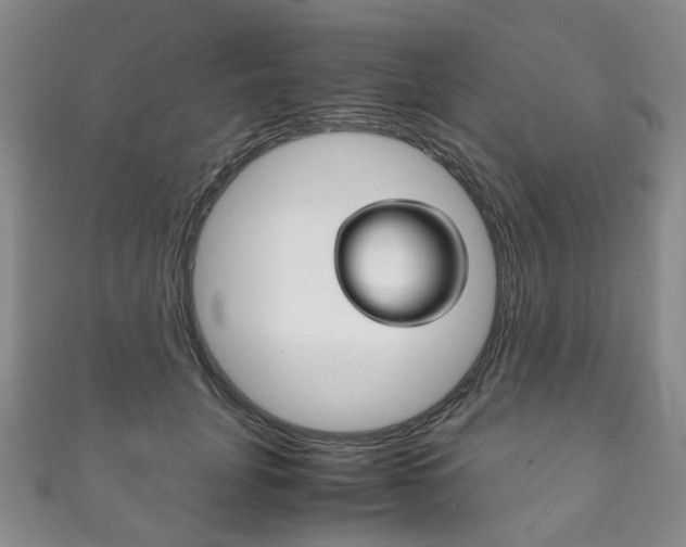 X0000111210751200907011050