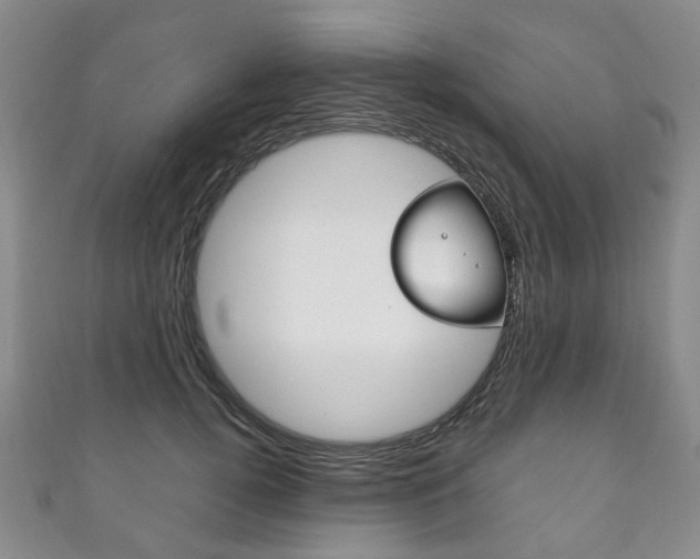 X0000111210752200907011050