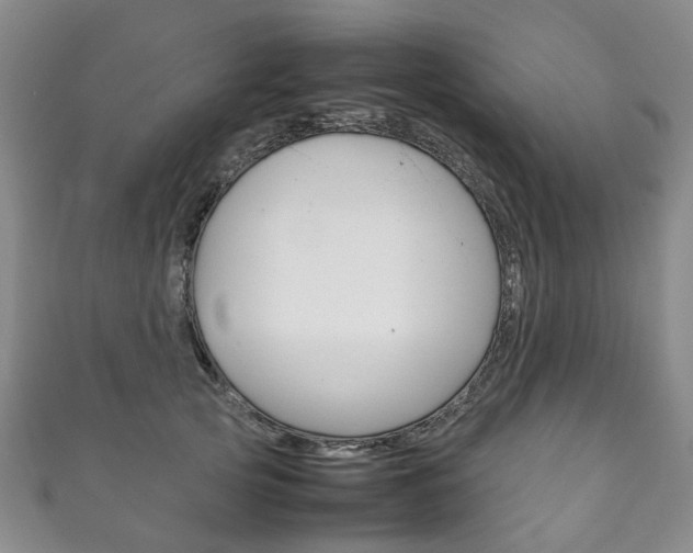 X0000111210753200907011050