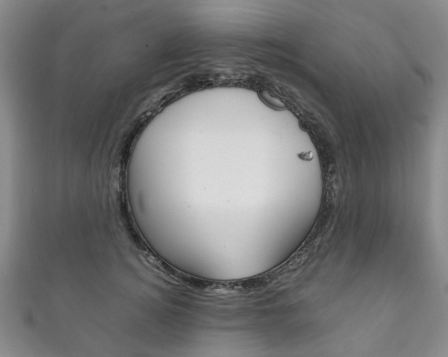 X0000111210756200907011050
