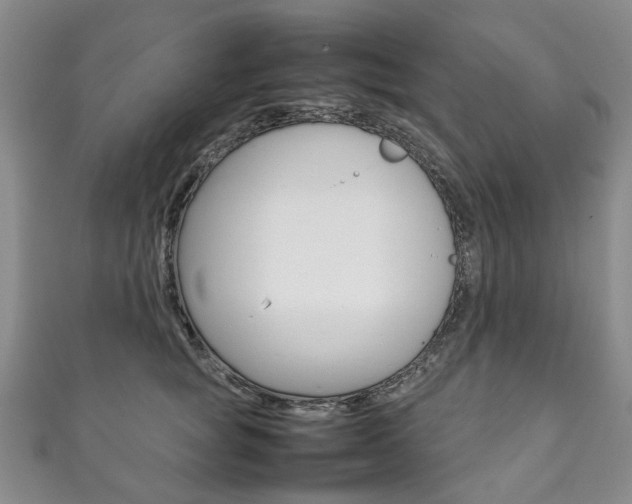 X0000111210757200907011051