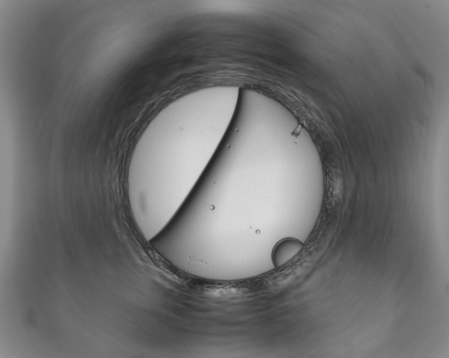 X0000111210759200907011051