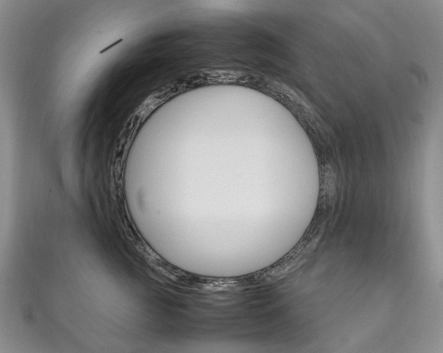 X0000111210761200907011051