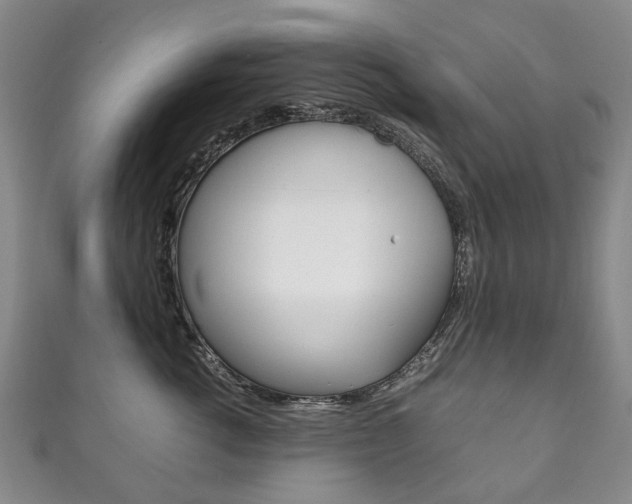 X0000111210762200907011051