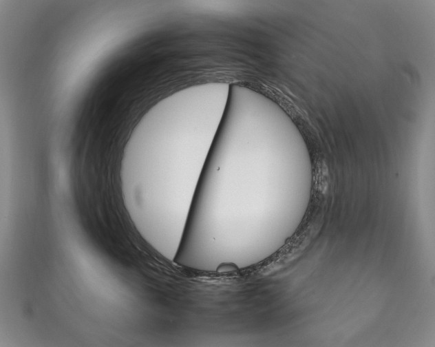 X0000111210763200907011051