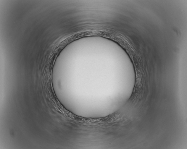 X0000111210773200907011050