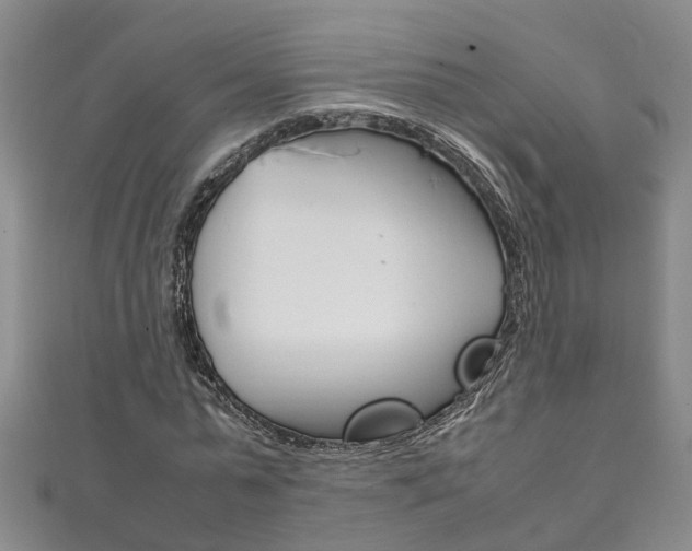 X0000111210775200907011050