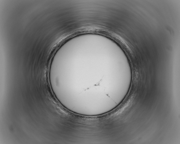 X0000111210778200907011050
