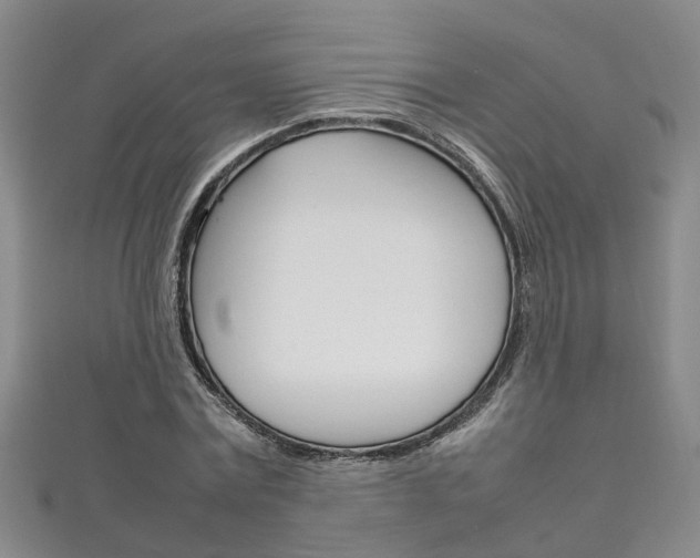X0000111210779200907011050