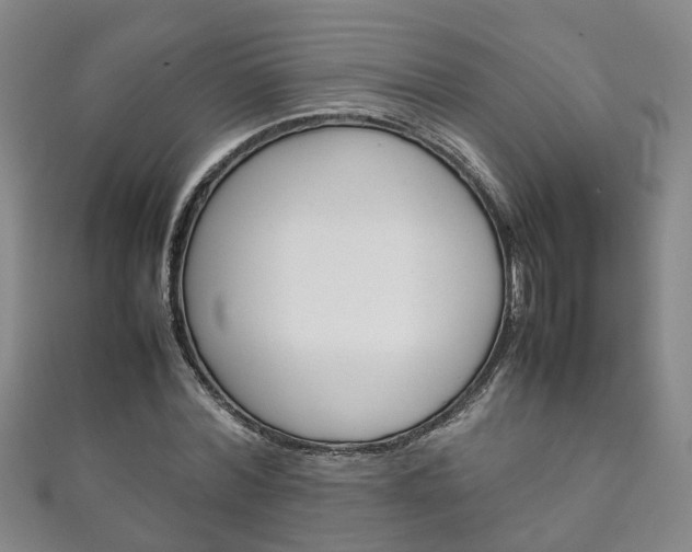 X0000111210780200907011050