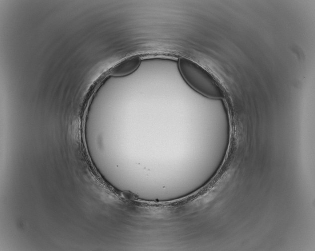 X0000111210781200907011050