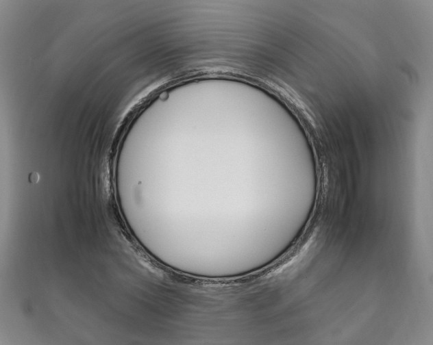 X0000111210782200907011050