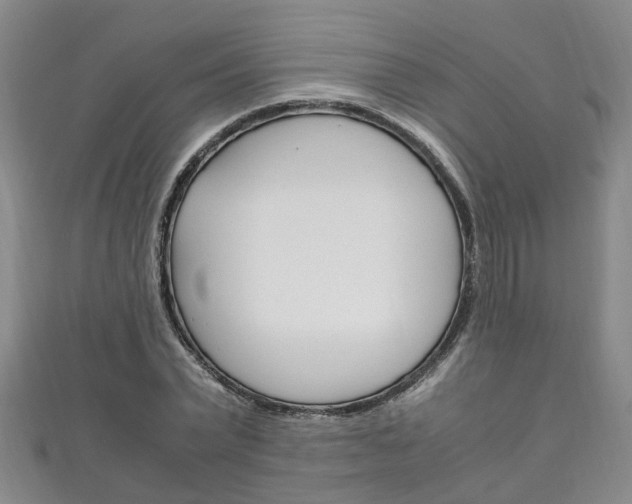 X0000111210783200907011050