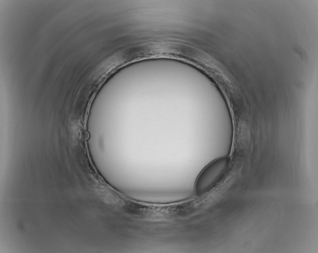 X0000111210785200907011050
