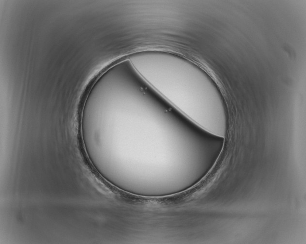 X0000111210787200907011050