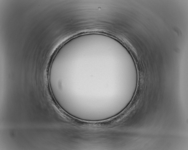 X0000111210789200907011050