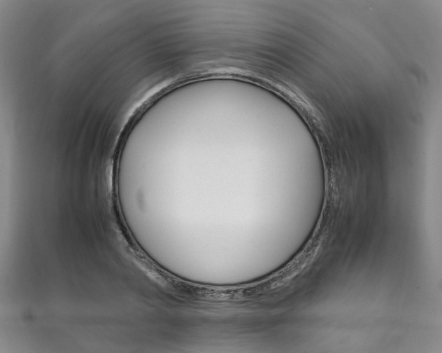 X0000111210790200907011050