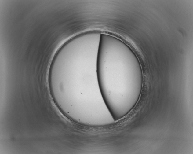X0000111210791200907011050